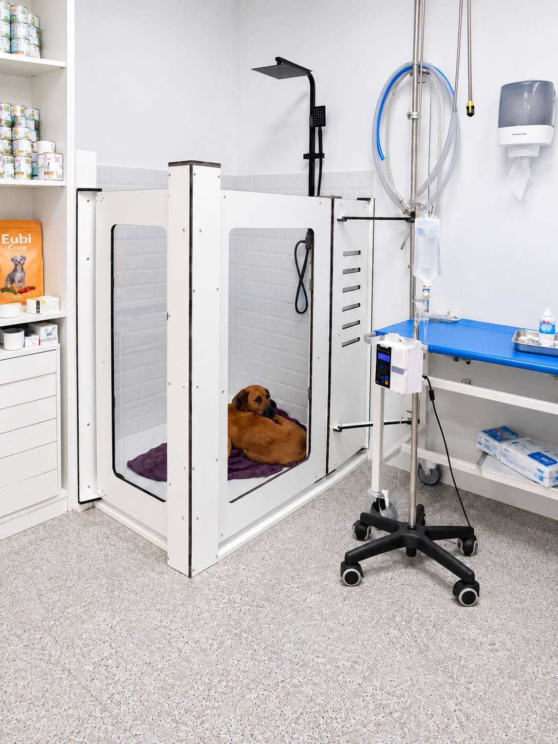 Hospitalización canina