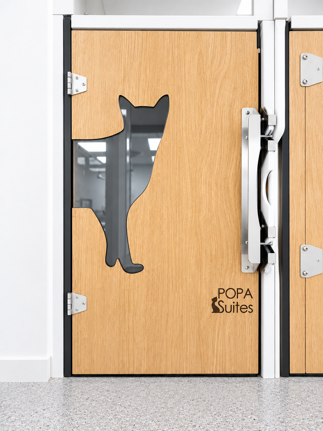 Hospitalización felina
