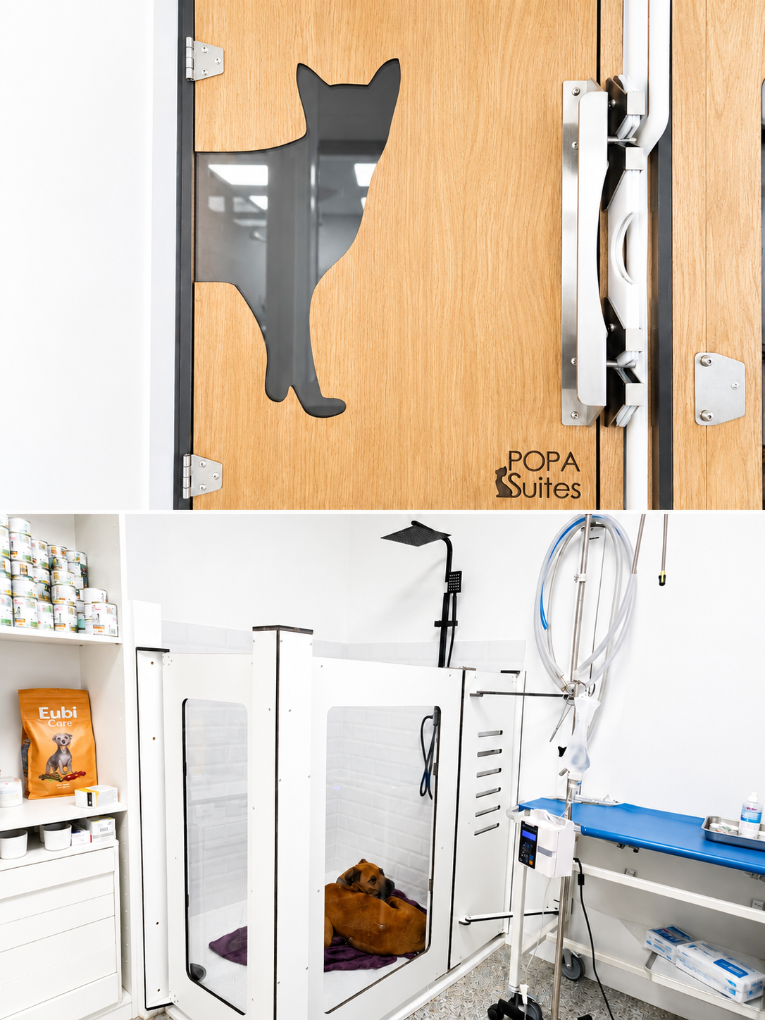 Hospitalización de la clínica Canicat en Náquera